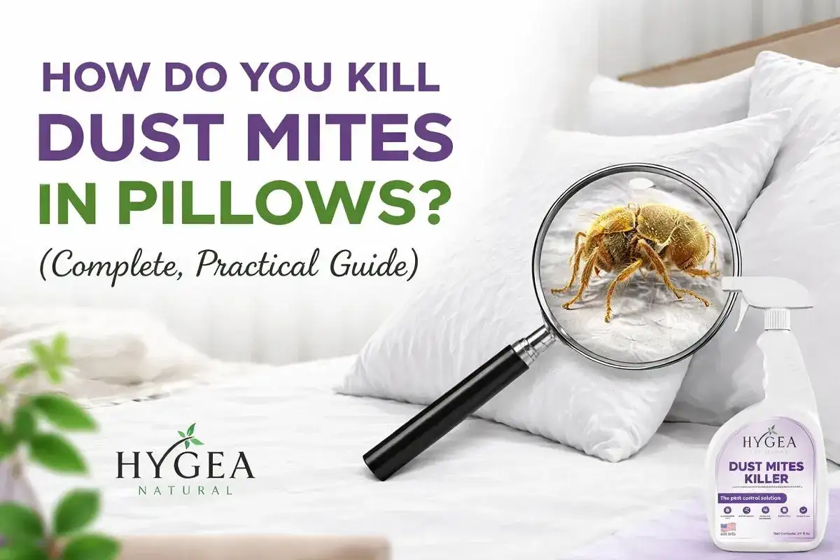 Learn how to get dust mites out of pillows with this guide. Magnified image shows a dust mite on a pillow, with a spray bottle nearby.