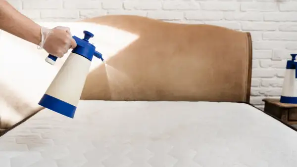 Spraying a mattress to combat memory foam dust mites.